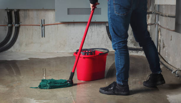 Best Fire Damage Restoration  in Blythewood, SC