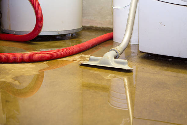 Best Local water damage restoration  in Blythewood, SC