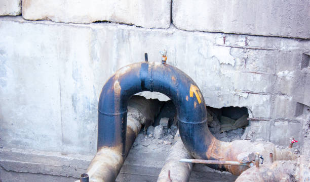 Best Flood damage cleanup  in Blythewood, SC