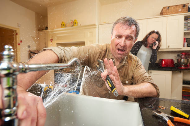 Best Flooded house restoration  in Blythewood, SC